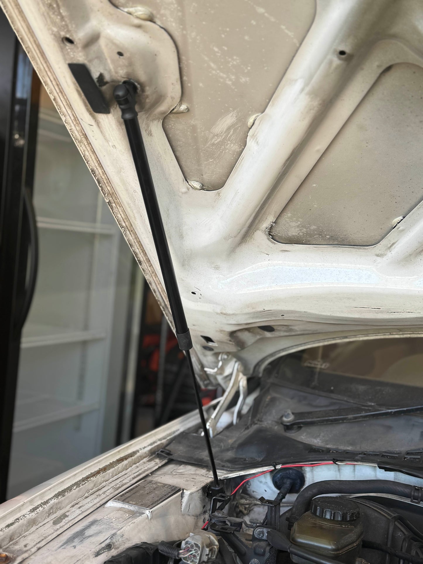 Toyota Soarer Hood Struts