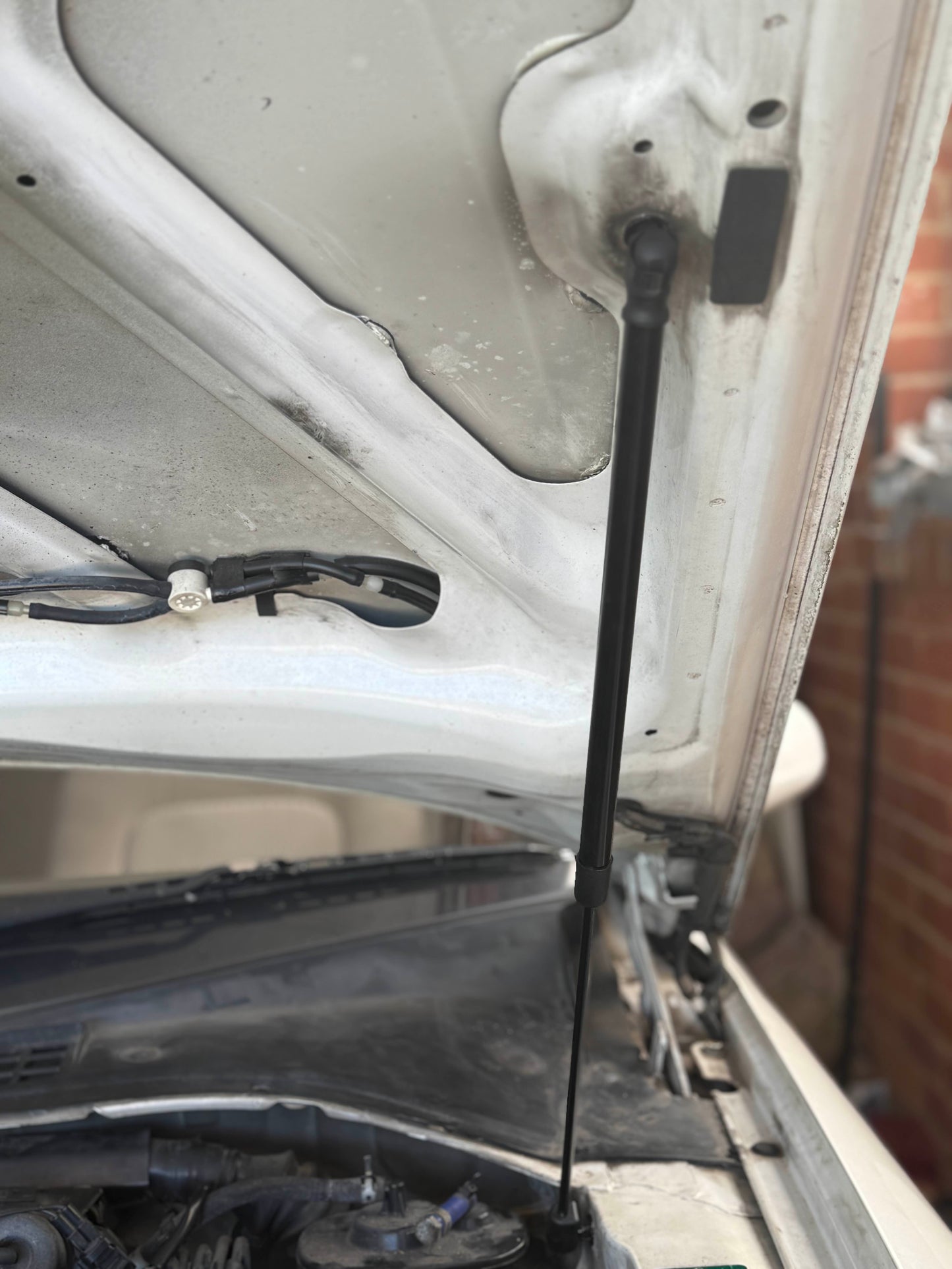 Toyota Soarer Hood Struts